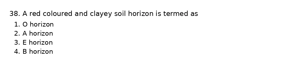 Question 38